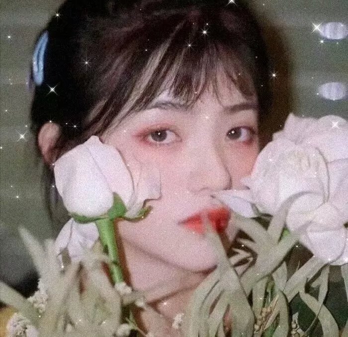 情困荡女心